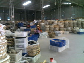 庫存日用百貨的管理與優化——以蔡秀敏的日用百貨店為例