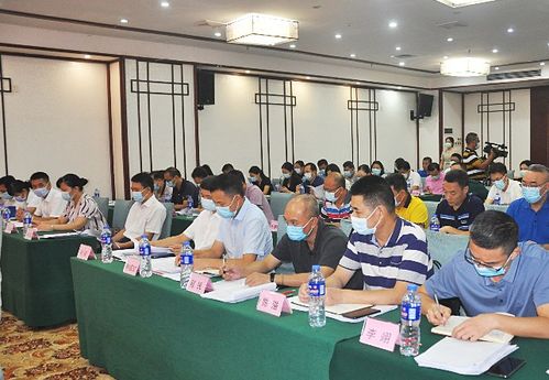 湛江召開全市社保工作會議，聚焦數字化轉型與軟件開發應用